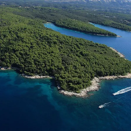 Nikolina Sea View *