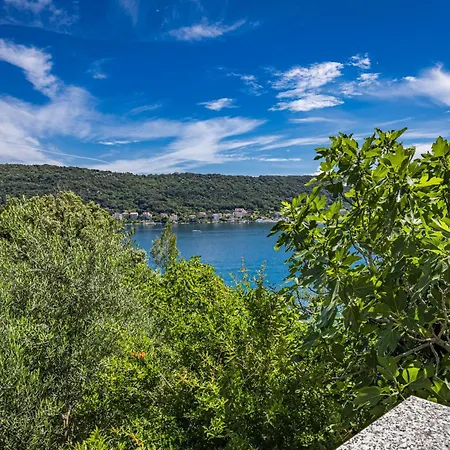 Nikolina Sea View *