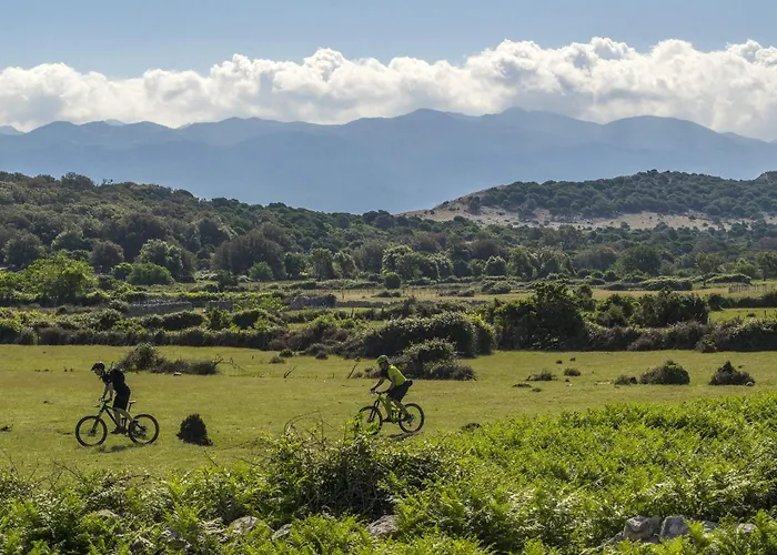 Daire Nikolina Sea View *