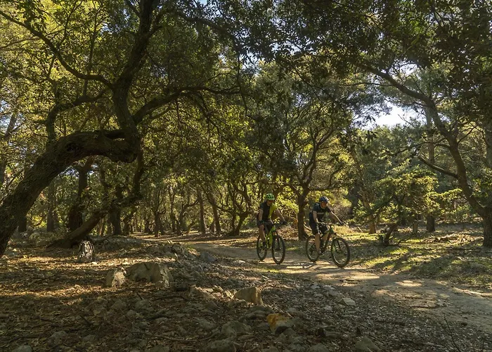 Nikolina Sea View Daire *