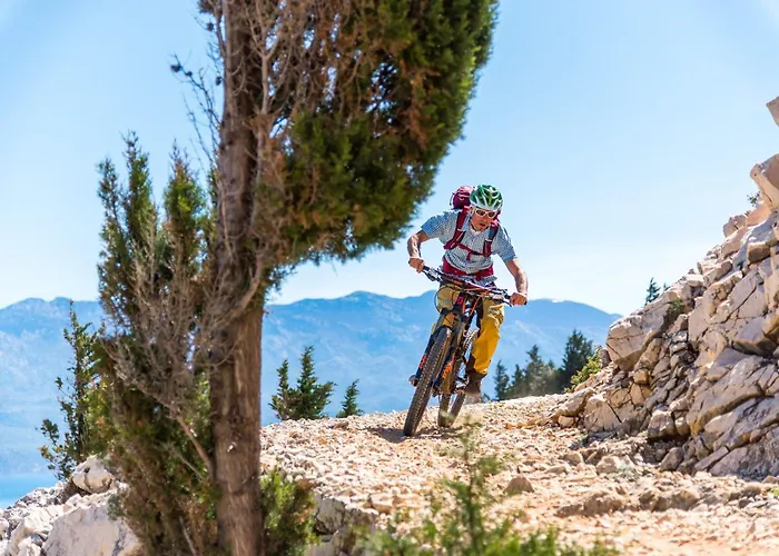 Daire Nikolina Sea View *