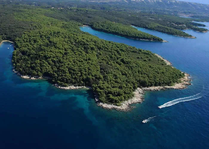Nikolina Sea View *
